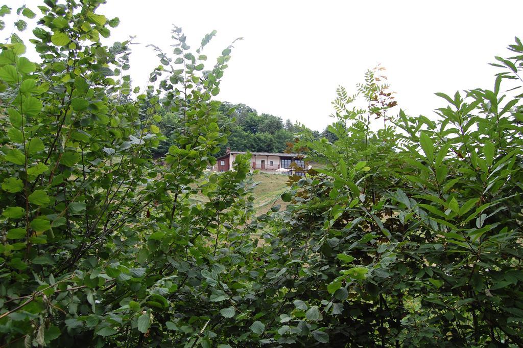 Sere Di Sosta Bagnolo Piemonte Bagian luar foto
